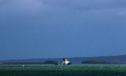 The Bay of Cherbourg