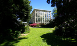 Botanical gardens of the Emmanuel Liais Park in Cherbourg