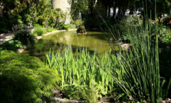 Botanical gardens of the Emmanuel Liais Park in Cherbourg