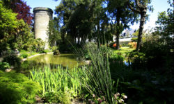 Botanical gardens of the Emmanuel Liais Park in Cherbourg