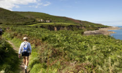 Sentier des Douaniers – GR® 223 dans le Cotentin