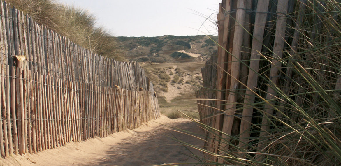 The dunes of Biville - KONICA MINOLTA DIGITAL CAMERA
