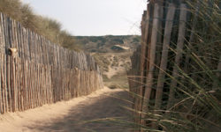 Dunes de Biville