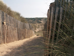 Dunes de Biville OT LA HAGUE