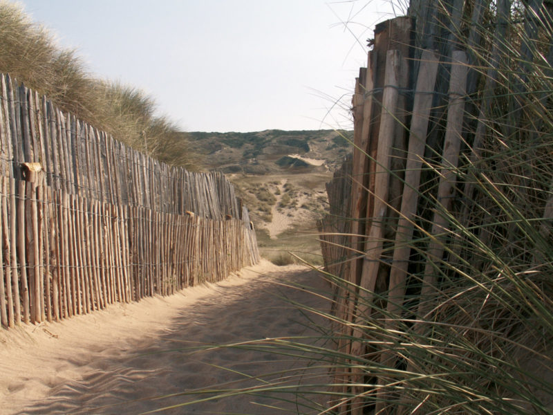 Dunes de Biville