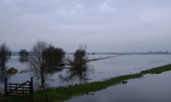 The Natural Parc of the Cotentin Marshlands