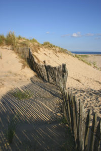 COTE DES ILES N°12@C.DUTEURTRE
