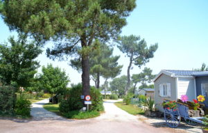 Entrée arborée du Camping de la plage Fermanville proche Cherbourg Normandie - Cotentin Tourisme