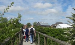 The Natural Parc of the Cotentin Marshlands