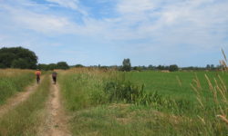 The Natural Parc of the Cotentin Marshlands