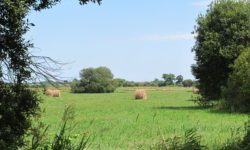 Parc naturel régional des Marais du Cotentin et du Bessin