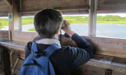 Parc naturel régional des Marais du Cotentin et du Bessin