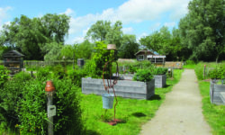 The Natural Parc of the Cotentin Marshlands