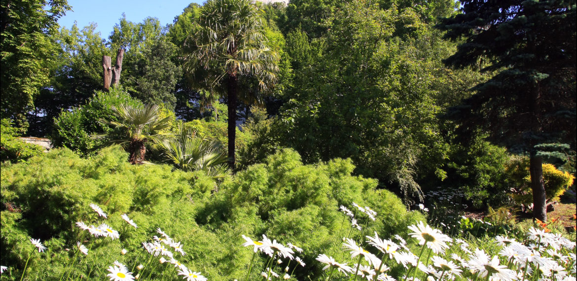 Jardin botanique Montebello - _JME9044-jardin-cherbourg-normandie@villedecherbourg