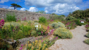 Ile Tatihou - Jardin decouvertes Saint-Vaast-La-Hougue @CD50