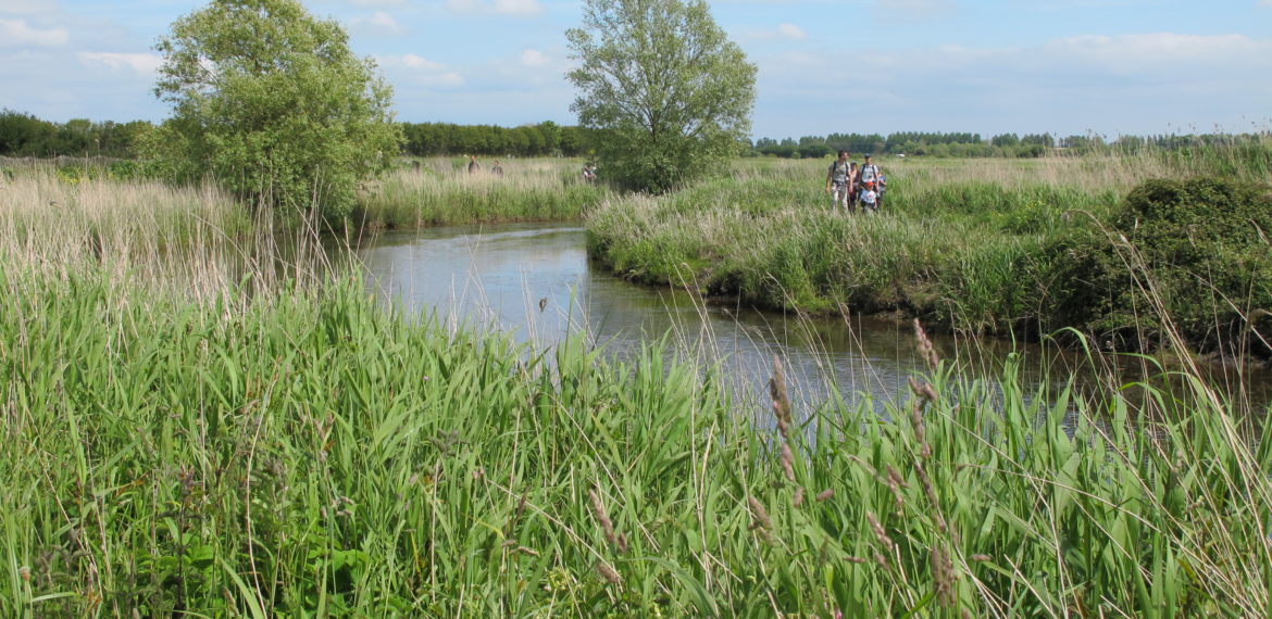 The Natural Parc of the Cotentin Marshlands - SENTIER_ENS_MDP2∏O.PIERRE(PNR_MARAIS_COTENTIN_BESSIN)