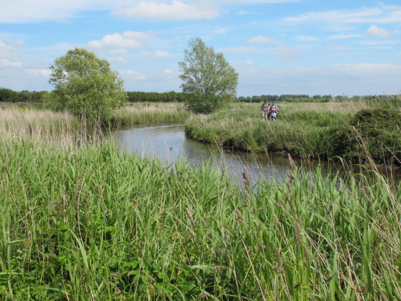 The Natural Parc of the Cotentin Marshlands