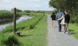 The Natural Parc of the Cotentin Marshlands