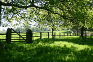 Val de saire Bocage nature cotentin @C.DUTEURTRE Cotentin Tourisme