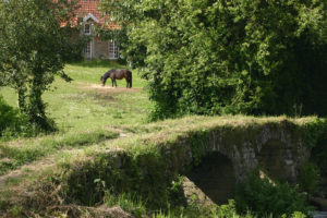 Val de saire Bocage 3@C.DUTEURTRE