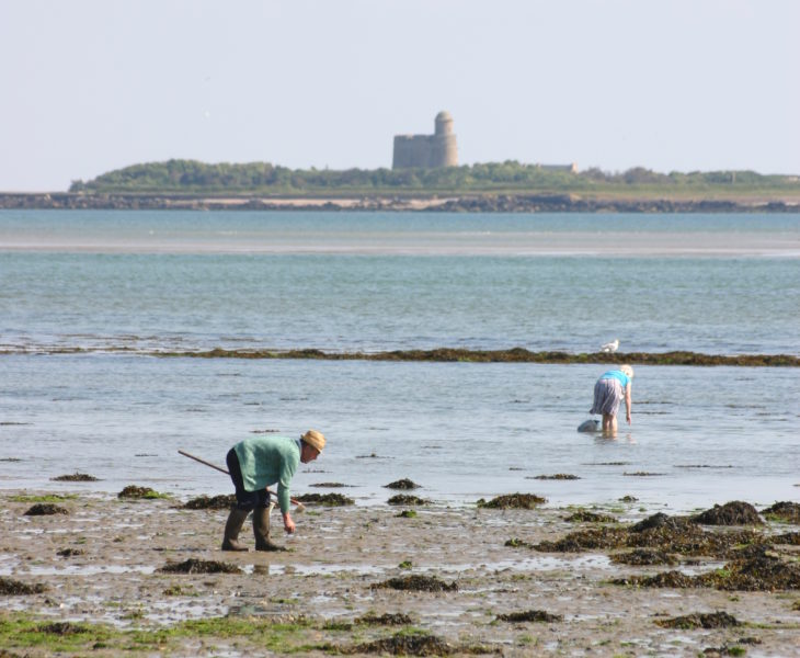 Saint-Vaast-la-Hougue : Top 5 raisons pour partir à la découverte de Saint-Vaast-la-Hougue dans le Cotentin