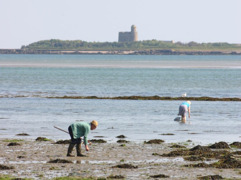 Saint-Vaast-la-Hougue : Top 5 raisons pour partir à la découverte de Saint-Vaast-la-Hougue dans le Cotentin