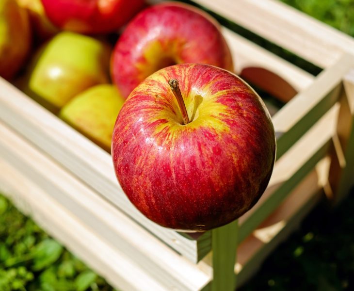Sweet, dry or sparkling. As an aperitif, during meals or with crepes, you can enjoy cider on any occasion!