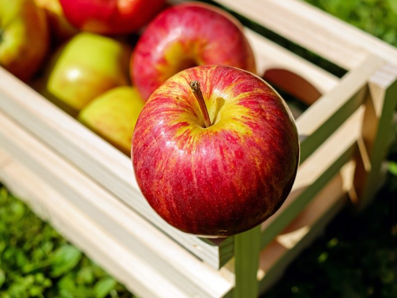 Savourez le cidre normand du Cotentin à chaque occasion!