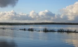 The Natural Parc of the Cotentin Marshlands