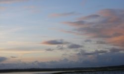 Parc naturel régional des Marais du Cotentin et du Bessin