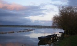 The Natural Parc of the Cotentin Marshlands