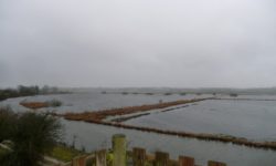 The Natural Parc of the Cotentin Marshlands