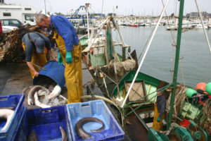 peche saint vaast la hougue @C.DUTEURTRE