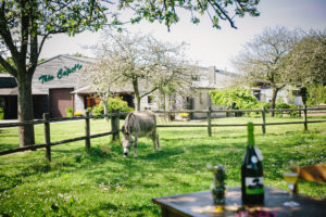 théo capelle produits visite de la ferme Cidre Cotentin Tourisme - sélection des meilleures adresses du terroir