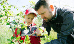 The Cider Company Theo Capelle