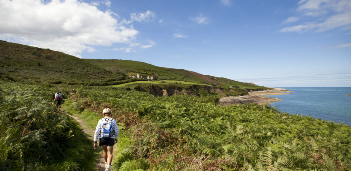 The cliffs and the landscapes of the Hague - trail sentier des douaniers-®B. Almodovar OTH