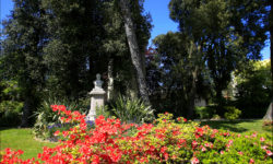 Botanical gardens of the Emmanuel Liais Park in Cherbourg