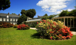 Botanical gardens of the Emmanuel Liais Park in Cherbourg