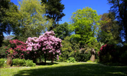 Botanical gardens of the Emmanuel Liais Park in Cherbourg