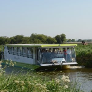 rosee-du-soleil-marais-cotentin-normandie