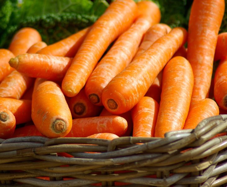 Goûtez les bons produits maraîchers, les fruits et les légumes produits dans le Cotentin