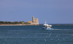 Ile Tatihou