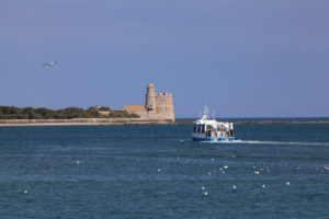 ile Tatihou - Bateau amphibie -marée haute©D.Daguier-CD50 - cotentin - normandie