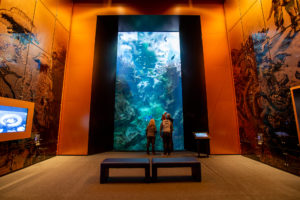 aquarium océan futur cité de la mer cherbourg@B.Almodovar