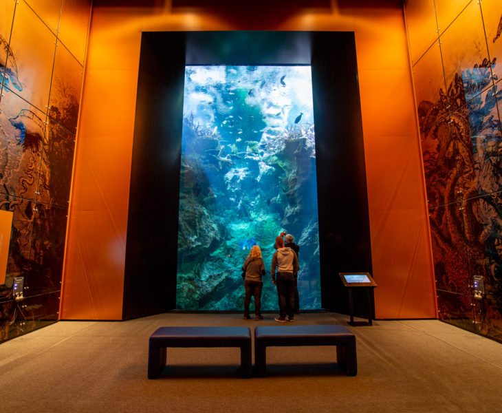 NOUVEAU : l’Océan du futur de la Cité de la Mer de Cherbourg