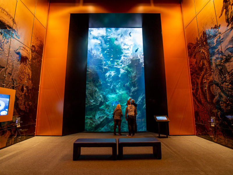 NOUVEAU : l’Océan du futur de la Cité de la Mer de Cherbourg