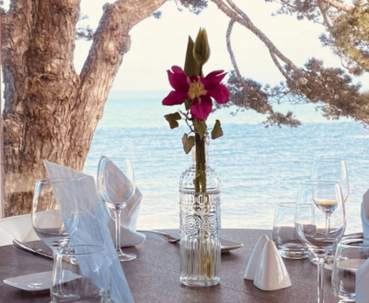 Que Faire dans le Cotentin en Juillet ? Le Guide Complet 2026