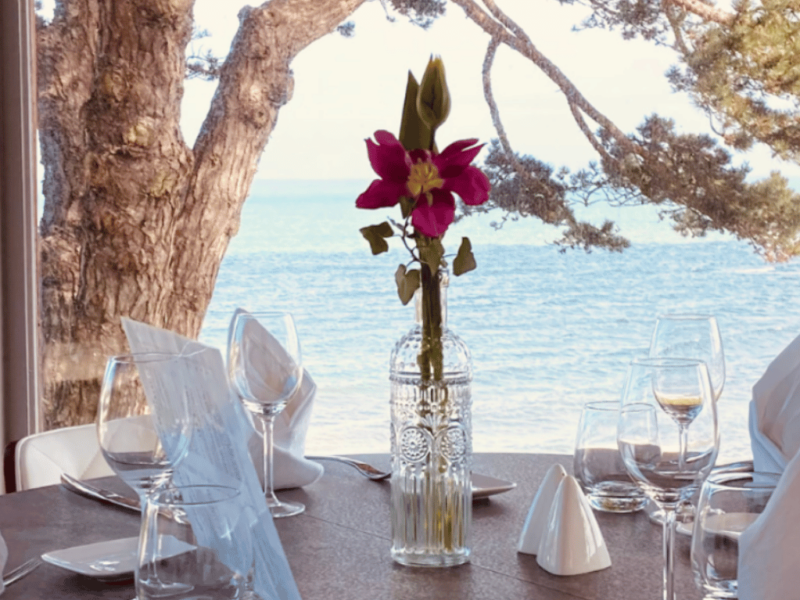 Que Faire dans le Cotentin en Juillet ? Le Guide Complet 2026