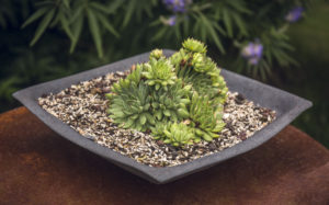 poterie-au-gres-du-temps-cotentin-bac-plantes-jardin