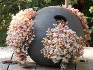 poterie-au-gres-du-temps-Cotentin